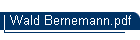 Wald Bernemann.pdf